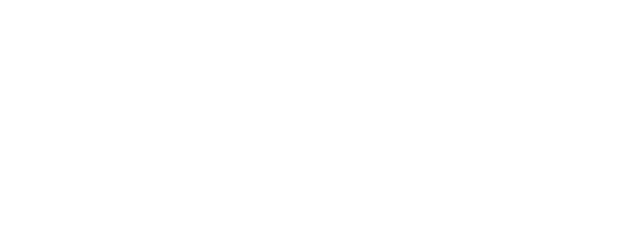 Infodev — Electronic Designers International